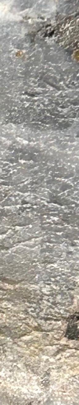Orogenic Gold-Bearing Quartz Vein